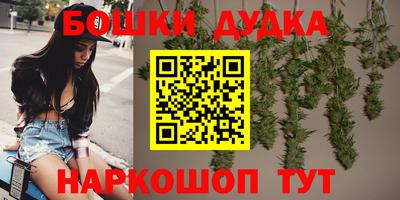 PSILOCYBIN Кунгур