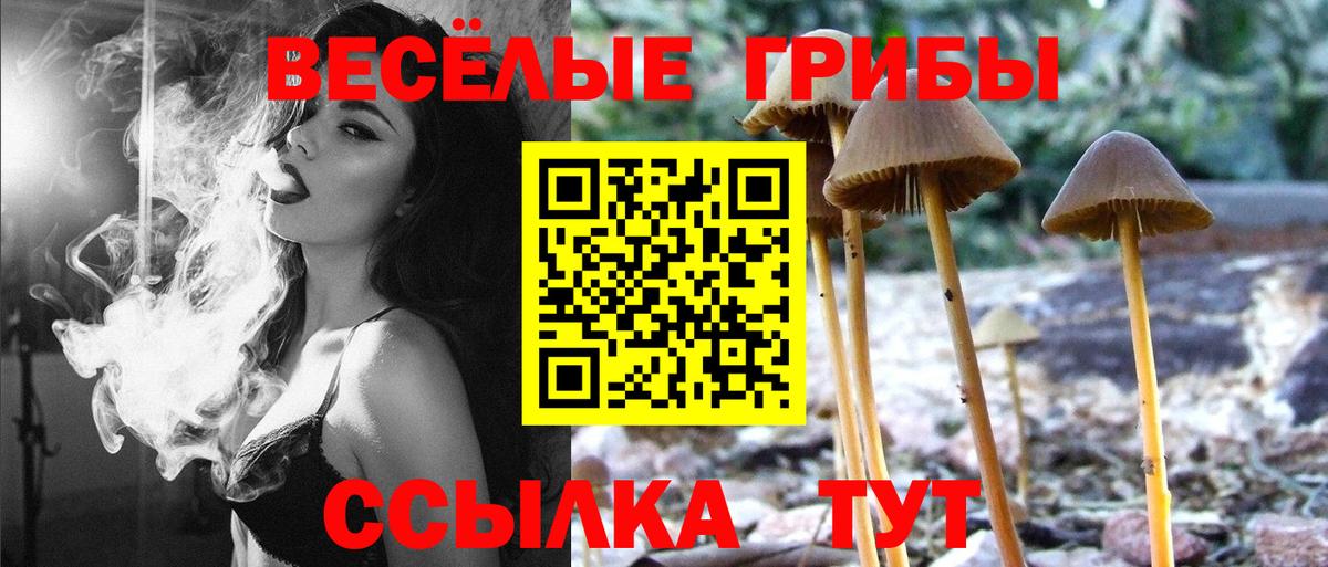 Псилоцибиновые грибы MAGIC MUSHROOMS Чехов
